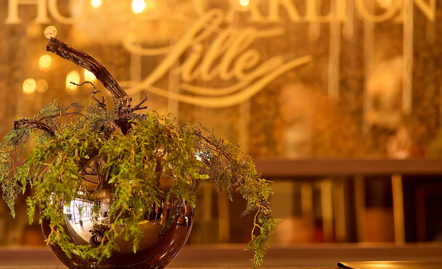 Hotel Carlton Lille
